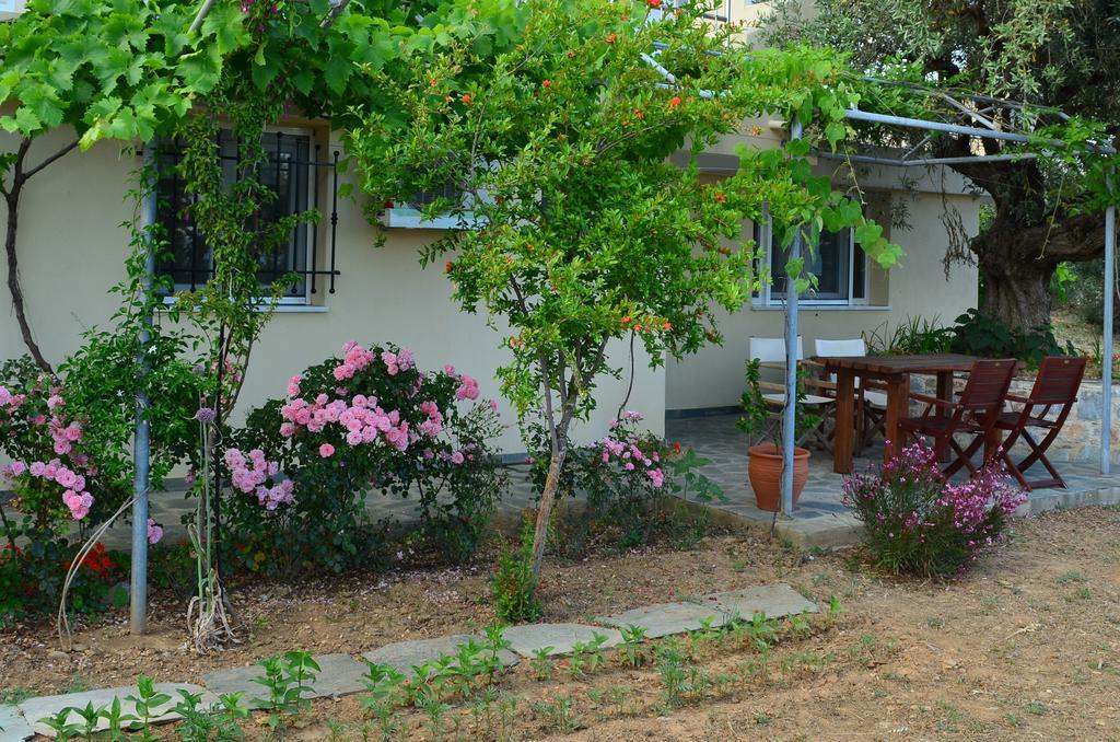 Villas Zoe Ksanemos Exteriör bild